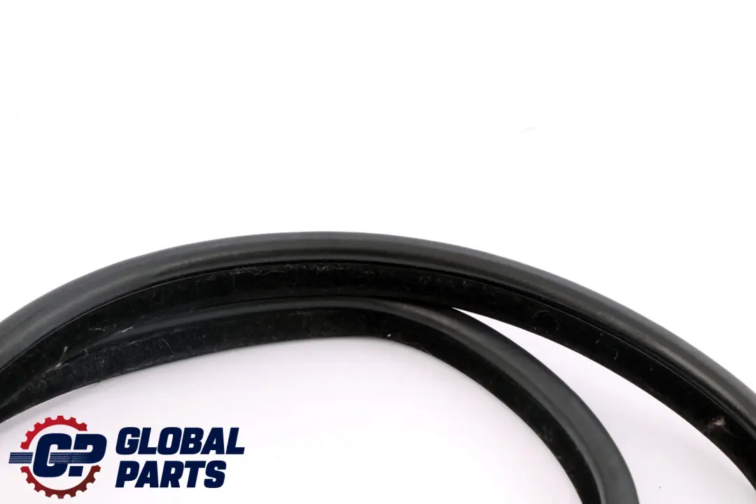 BMW E91 LCI Paraspigoli Guarnizione Porta Dx Sinistro Posteriore - SKU 7247262 - Numero di parte 7247262