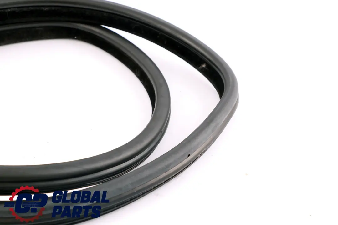 BMW E91 LCI Paraspigoli Guarnizione Porta Dx Sinistro Posteriore - SKU 7247262 - Numero di parte 7247262