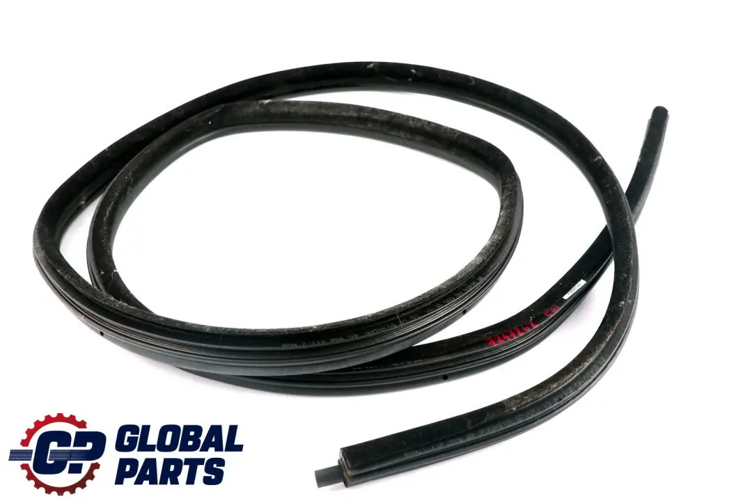 BMW E91 LCI Paraspigoli Guarnizione Porta Dx Sinistro Posteriore - SKU 7247262 - Numero di parte 7247262