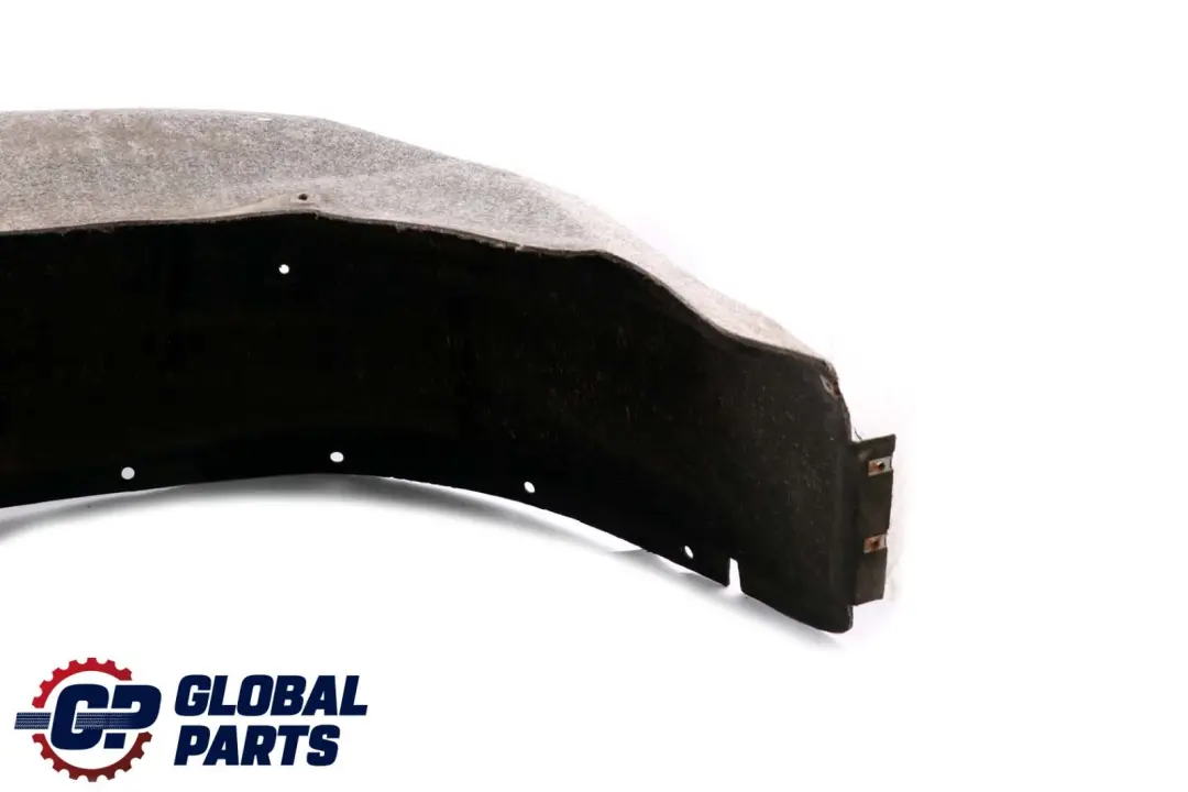 BMW X6 Reihe E71 Hinten Links Radhaus Abdeckung Verkleidung - SKU 7248211 - Teilenummer 7248211