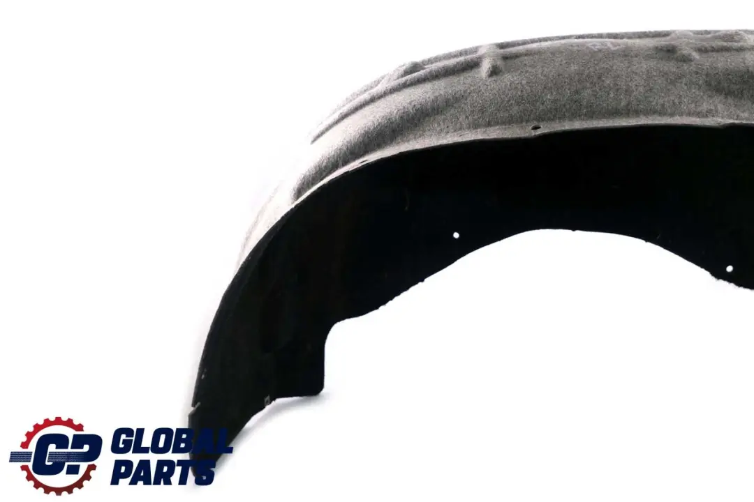 BMW X6 Reihe E71 Hinten Links Radhaus Abdeckung Verkleidung - SKU 7248211 - Teilenummer 7248211