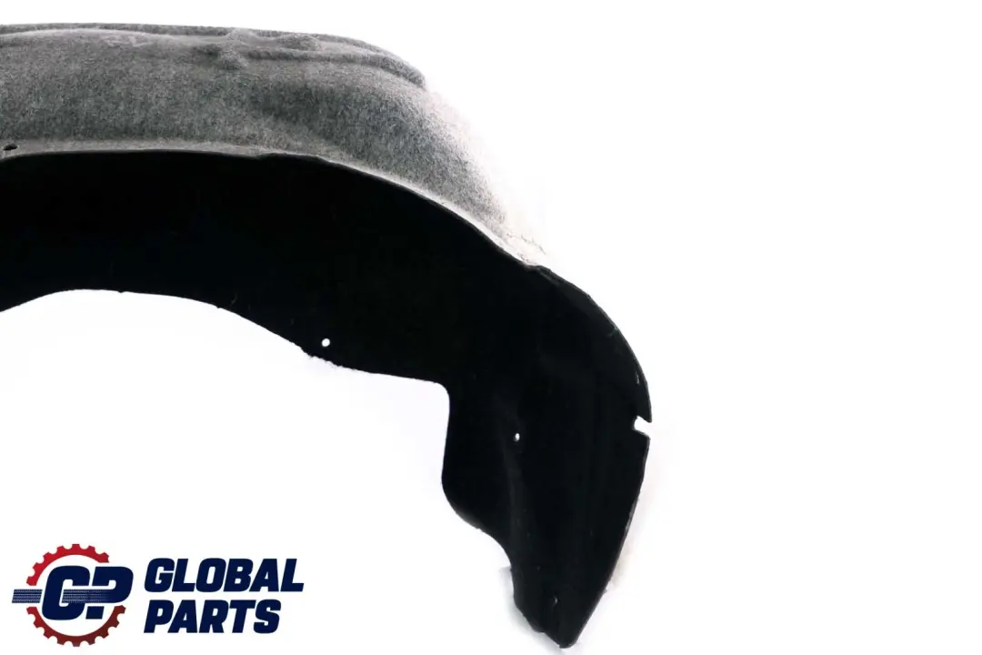 BMW X6 Reihe E71 Hinten Links Radhaus Abdeckung Verkleidung - SKU 7248211 - Teilenummer 7248211