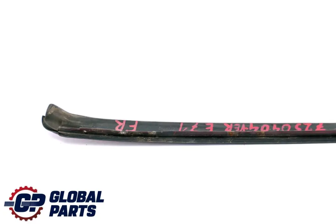 BMW X6 er E71 Wasserfangleiste Vorne Rechts Vermilionrot Metallic A82 - SKU 7250404-VER - Teilenummer 7250404