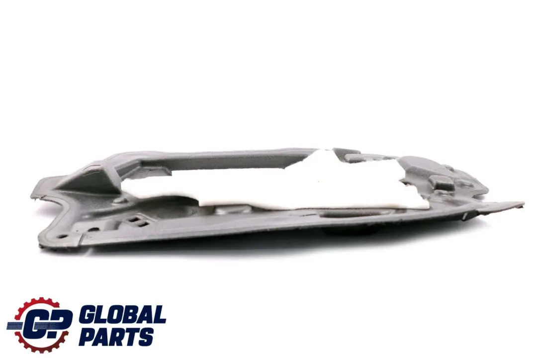 BMW F10 F11 Porte d'isolation Phonique Avant Gauche - SKU 7254125 - Numéro de pièce 7366705