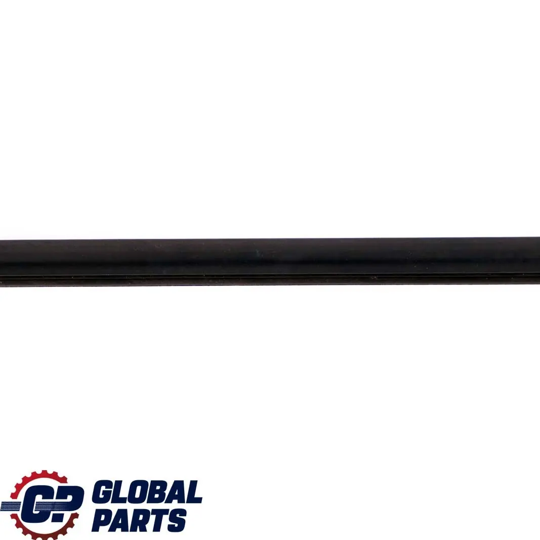 Canal Sellado Exterior Puerta Delantera Izquierda para BMW F30 F31 F80 M3 con número de pieza 7258295 BMW F30 F31 F80 M3 Canal Sellado Exterior Puerta Delantera Izquierda - SKU 7258295 - Número de pieza 7258295