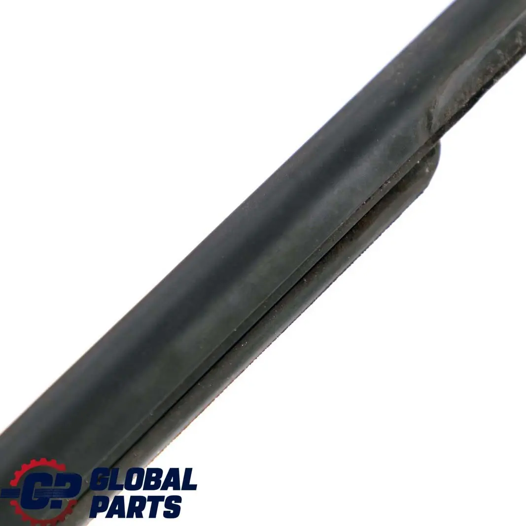 Channel Sealing Outside Door Front Left N/S BMW 3 Series F30 F31 F80 M3 - SKU 7258295 - Part number 7258295