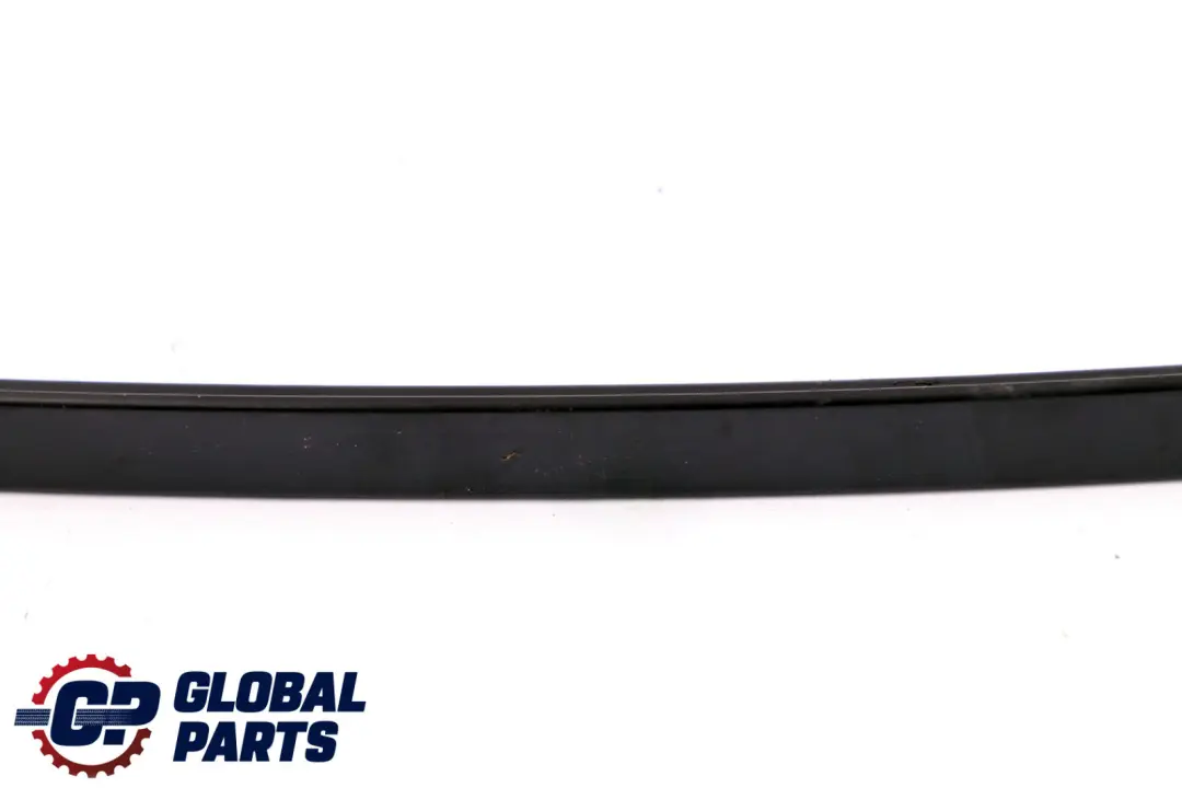 Window Guide Web Cover Rear Left N/S to BMW 3 Series F30 with Part number 7258301 BMW 3 Series F30 Window Guide Web Cover Rear Left N/S - SKU 7258301 - Part number 7258301