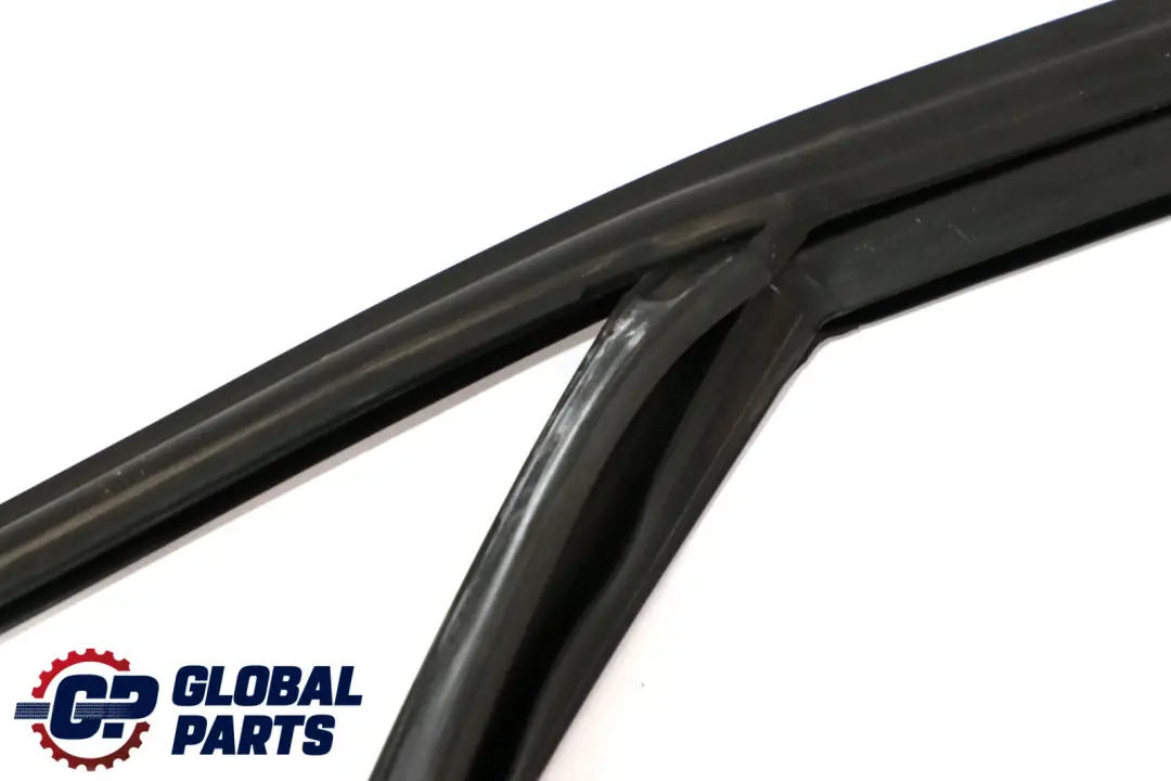 BMW F30 F31 Guarnizione Guida Finestrino Porta Anteriore Sinistra - SKU 7258325 - Numero di parte 7258325