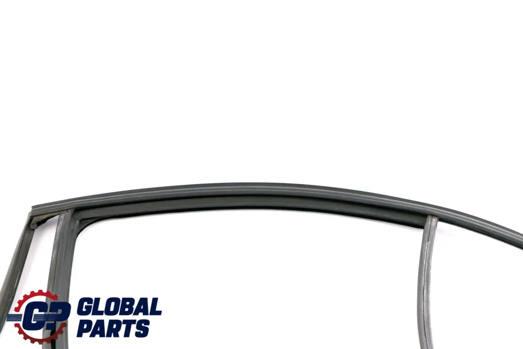 Binario Finestra Porta Posteriore Sinistra per BMW F30 con numero di parte 7258327 BMW F30 Binario Finestra Porta Posteriore Sinistra - SKU 7258327 - Numero di parte 7258327