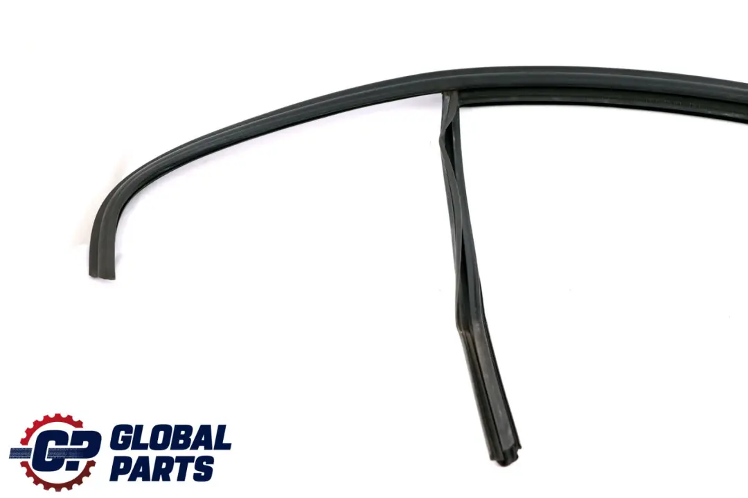 BMW 3 Series F30 Door Window Guide Rear Right O/S Seal - SKU 7258328 - Part number 7258328