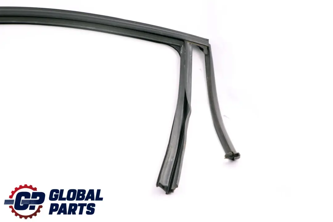 Fensterführung Tür Hinten Rechts für BMW 3 er F30 mit Teilenummer 7258328 BMW 3 er F30 Fensterführung Tür Hinten Rechts - SKU 7258328 - Teilenummer 7258328