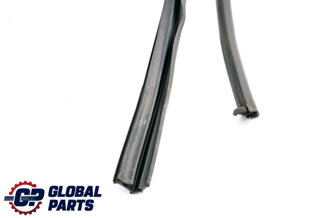 Fensterführung Tür Hinten Rechts für BMW 3 er F30 mit Teilenummer 7258328 BMW 3 er F30 Fensterführung Tür Hinten Rechts - SKU 7258328 - Teilenummer 7258328