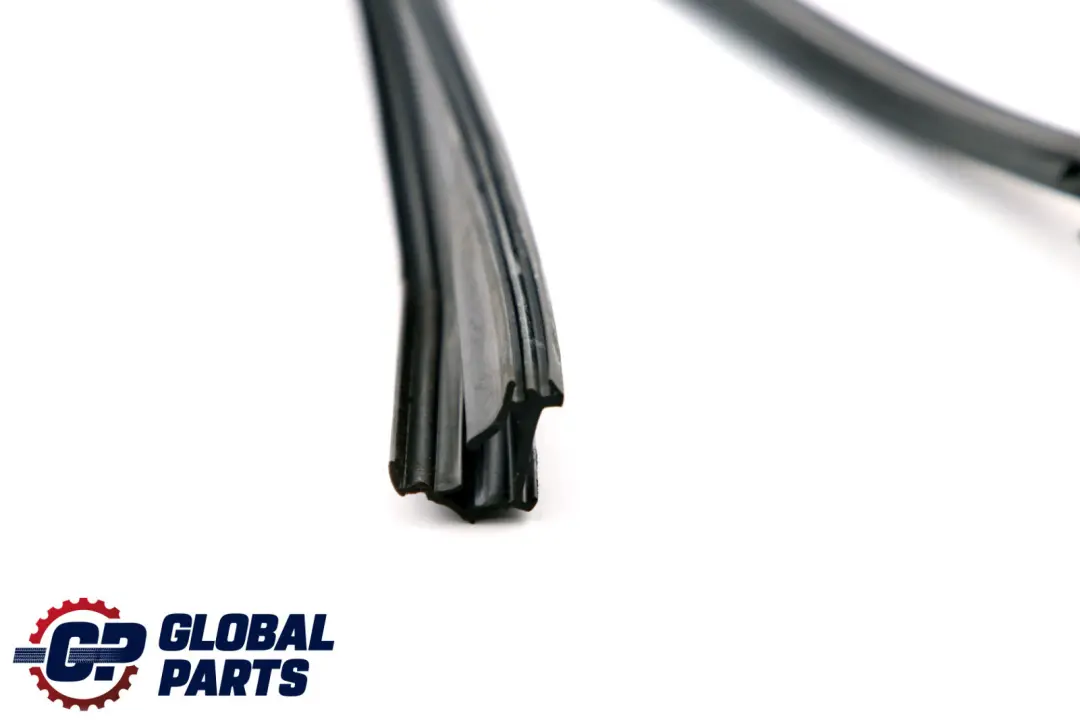 BMW 3 Series F31 Window Guide Seal Gasket Left N/S Rear Door - SKU 7258341 - Part number 7258341