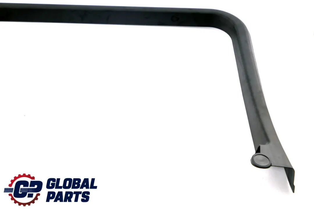 BMW F31 Telaio Finestra Anti Trappola Porta Posteriore Sinistra - SKU 7259379 - Numero di parte 7259379