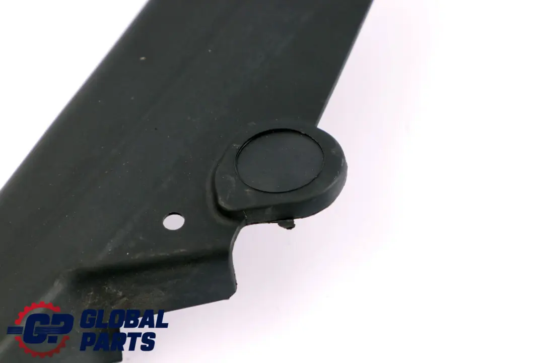 Tapa Marco Ventana Puerta Trasera Derecha para BMW F30 con número de pieza 7259710 BMW F30 Tapa Marco Ventana Puerta Trasera Derecha - SKU 7259710 - Número de pieza 7259710