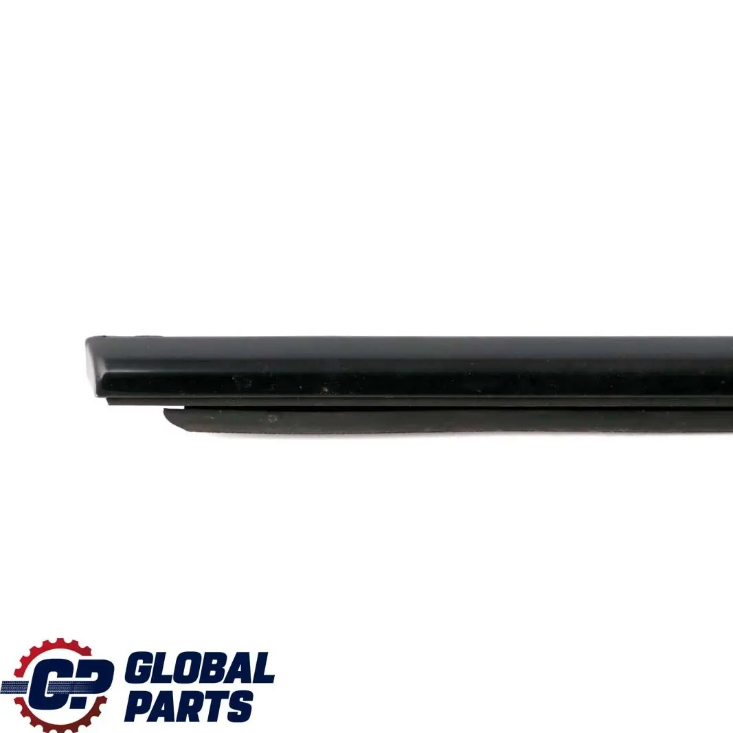 BMW F31 LCI Canale Lucido Sigillante Esterno Porta Posteriore Sinistra - SKU 7260535 - Numero di parte 7260535