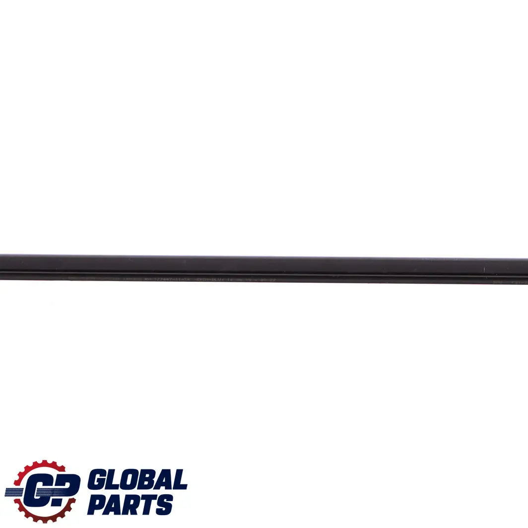 BMW F31 LCI Sellado Canal Alto Brillo Puerta Trasera Derecha Exterior - SKU 7260536 - Número de pieza 7260536