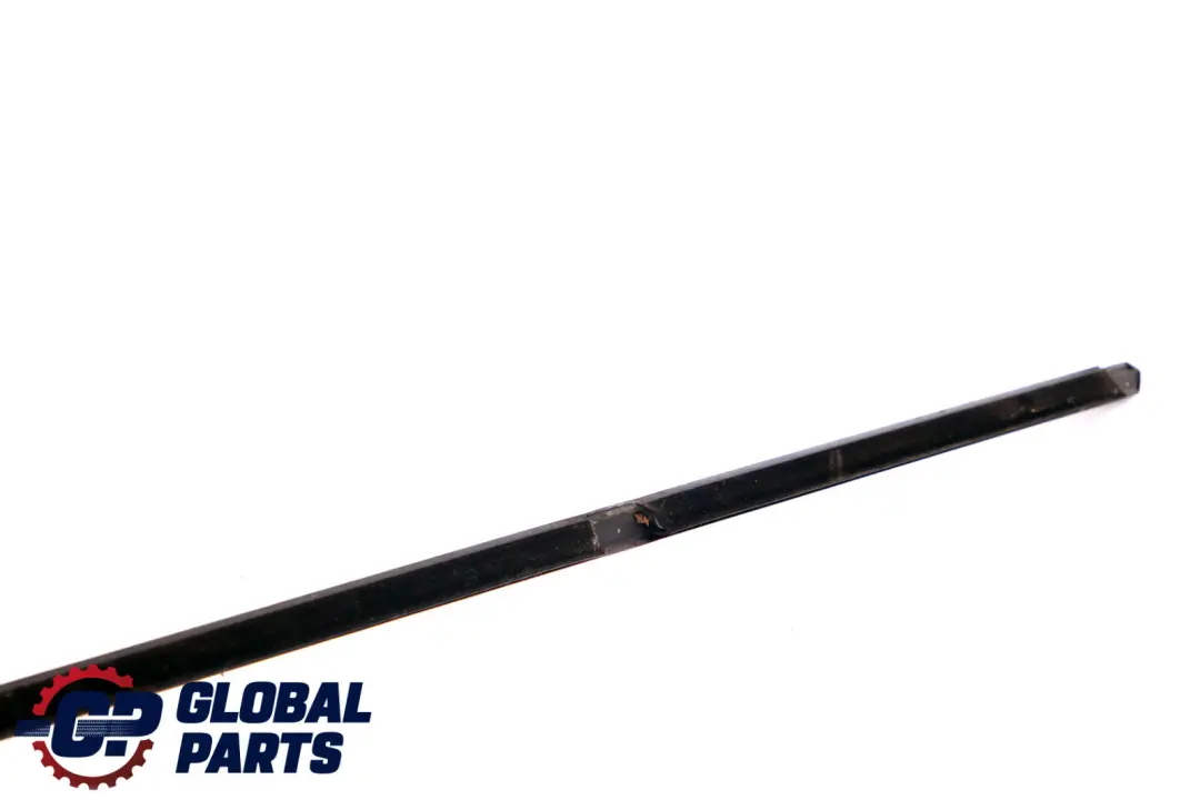 BMW F30 Canal Sellado Exterior Puerta Trasera Izquierda Alto Brillo Glanzschwarz - SKU 7260543 - Número de pieza 7260543