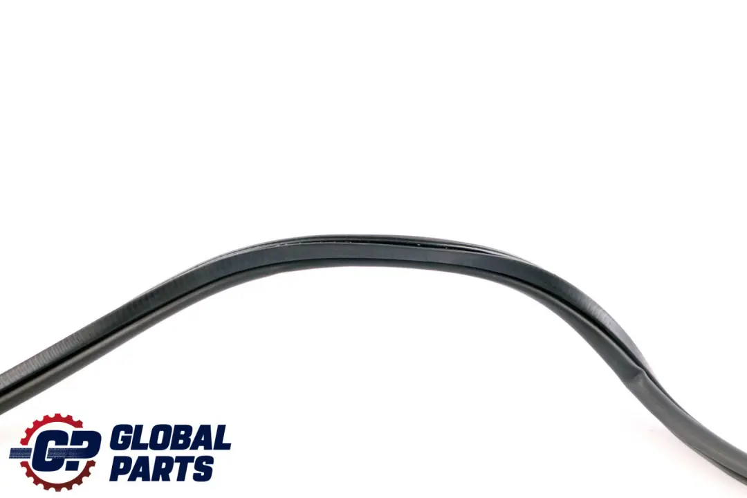 BMW 3 Series F31 Trunk Boot Lid Tailgate Gasket Seal Rubber Window - SKU 7263097 - Part number 7263097
