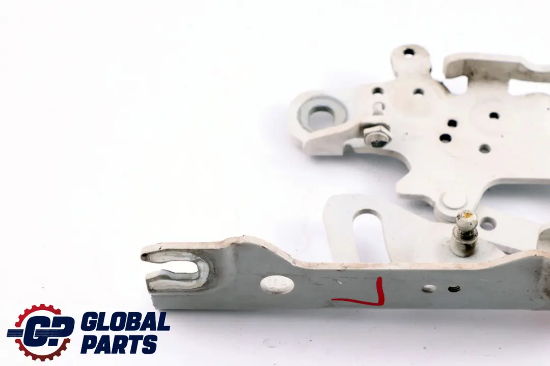 Cerniera Cofano Anteriore Sinistra Alpinweiss BMW F20 F22 F30 F31 - SKU 7286343-AW - Numero di parte 7286343