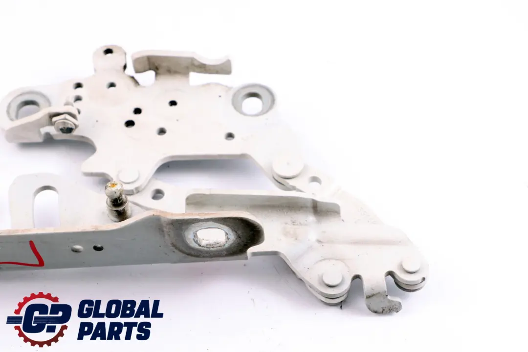 Cerniera Cofano Anteriore Sinistra Alpinweiss BMW F20 F22 F30 F31 - SKU 7286343-AW - Numero di parte 7286343