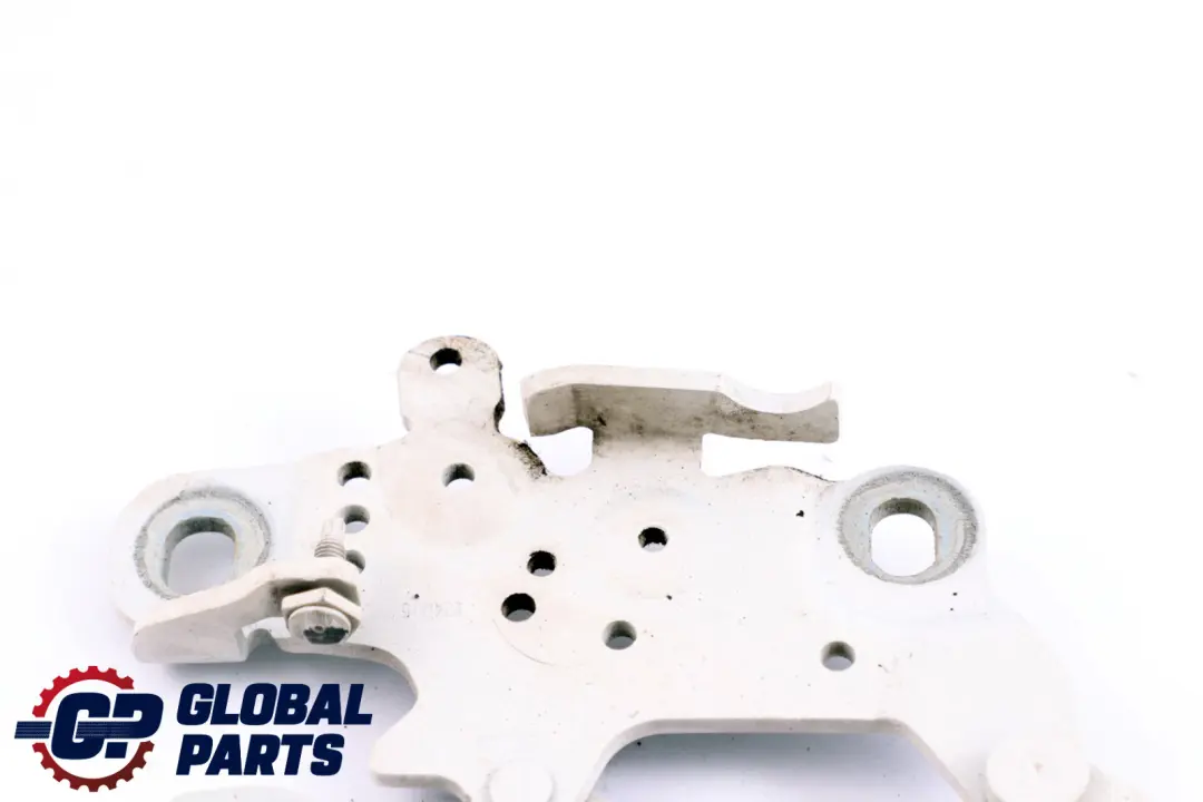 Cerniera Cofano Anteriore Sinistra Alpinweiss BMW F20 F22 F30 F31 - SKU 7286343-AW - Numero di parte 7286343