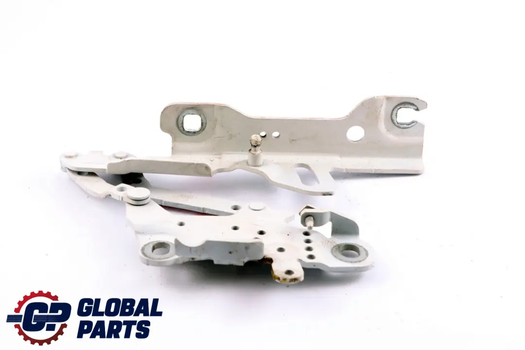 Cerniera Cofano Anteriore Sinistra Alpinweiss BMW F20 F22 F30 F31 - SKU 7286343-AW - Numero di parte 7286343