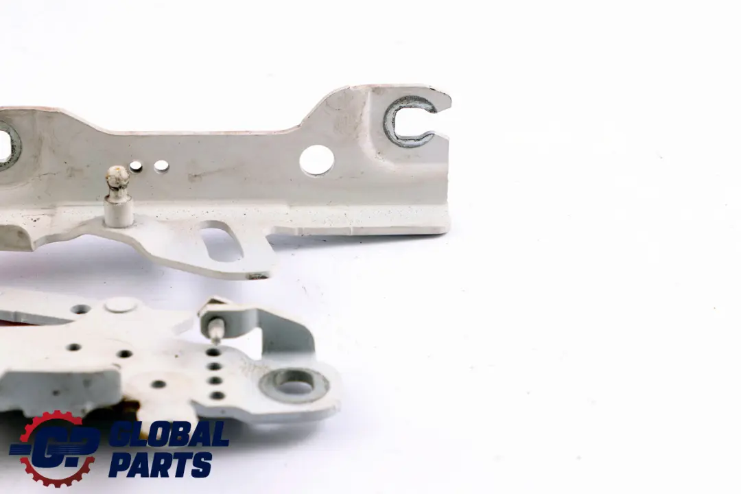 Cerniera Cofano Anteriore Sinistra Alpinweiss BMW F20 F22 F30 F31 - SKU 7286343-AW - Numero di parte 7286343