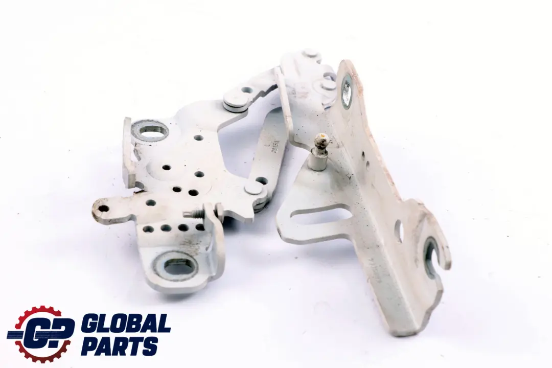 Cerniera Cofano Anteriore Sinistra Alpinweiss BMW F20 F22 F30 F31 - SKU 7286343-AW - Numero di parte 7286343