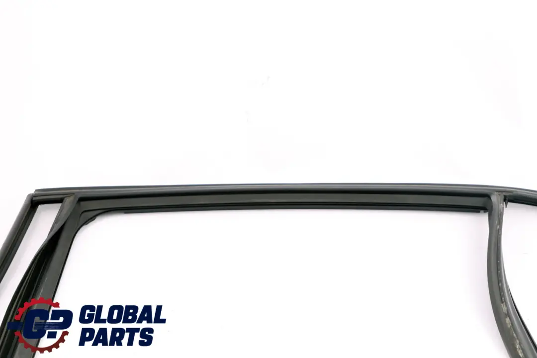 BMW 3 E91 Fensterführung links hinten Tür Dichtung 7119969 - SKU 7289663 - Teilenummer 7289663