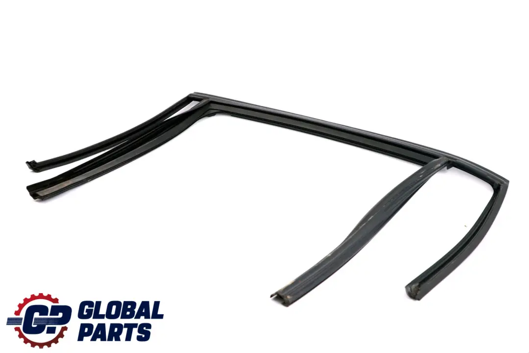 BMW 3 E91 Fensterführung links hinten Tür Dichtung 7119969 - SKU 7289663 - Teilenummer 7289663