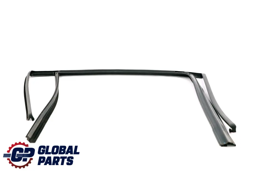 BMW 3 E91 Fensterführung links hinten Tür Dichtung 7119969 - SKU 7289663 - Teilenummer 7289663