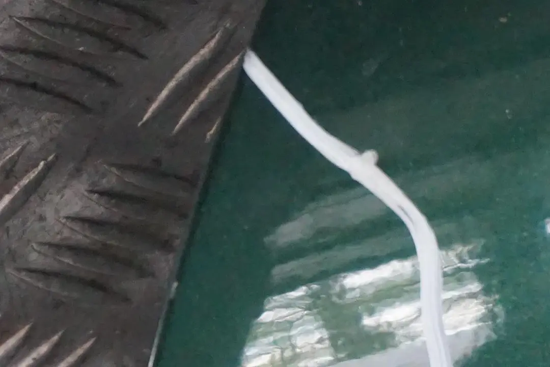 Tür vorne links British Racing Green II B22 für BMW MINI Cooper F56 F57 mit Teilenummer 7294265 BMW MINI Cooper F56 F57 Tür vorne links British Racing Green II B22 - SKU 7294265-BRGII - Teilenummer 7294265