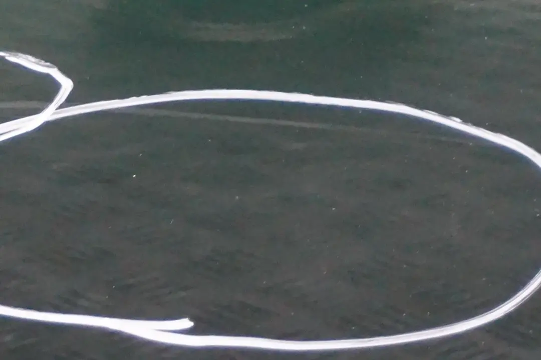 Tür vorne links British Racing Green II B22 für BMW MINI Cooper F56 F57 mit Teilenummer 7294265 BMW MINI Cooper F56 F57 Tür vorne links British Racing Green II B22 - SKU 7294265-BRGII - Teilenummer 7294265