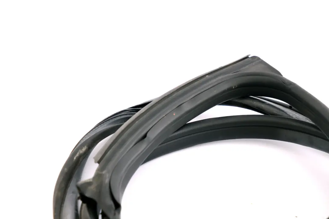 Chiusura Ermetica Porta Gomma Guarnizione Ant. Dx per Mini Cooper One F56 con numero di parte 7300030 Mini Cooper One F56 Chiusura Ermetica Porta Gomma Guarnizione Ant. Dx - SKU 7300030 - Numero di parte 7300030