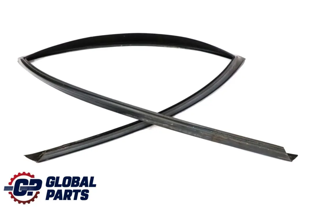 BMW X5 E70 Door Window Guide Rear Left N/S Seal Sealing - SKU 7305631 - Part number 7305631