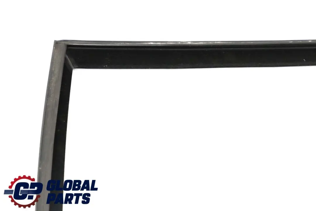 BMW E70 Guia de Ventana de Puerta Trasera Izquierda Sello de Sellado - SKU 7305631 - Número de pieza 7305631