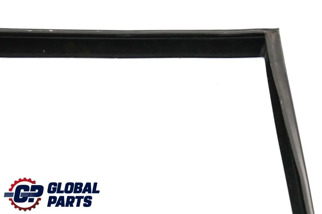 BMW E70 Guia de Ventana de Puerta Trasera Izquierda Sello de Sellado - SKU 7305631 - Número de pieza 7305631