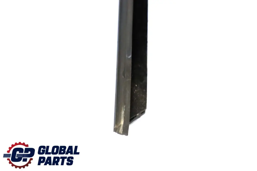 BMW E70 Guia de Ventana de Puerta Trasera Izquierda Sello de Sellado - SKU 7305631 - Número de pieza 7305631