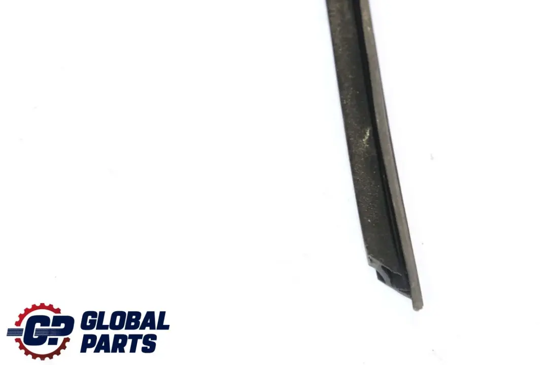 BMW X5 E70 Door Window Guide Rear Left N/S Seal Sealing - SKU 7305631 - Part number 7305631