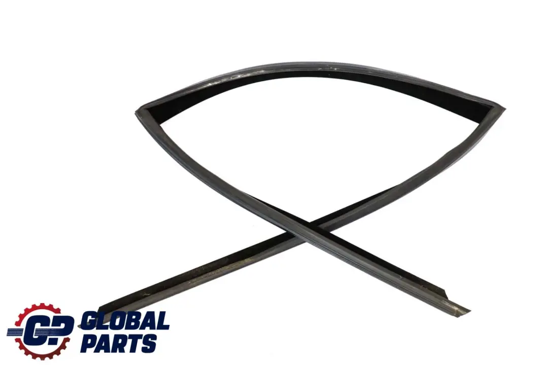 BMW X5 E70 Door Window Guide Rear Left N/S Seal Sealing - SKU 7305631 - Part number 7305631