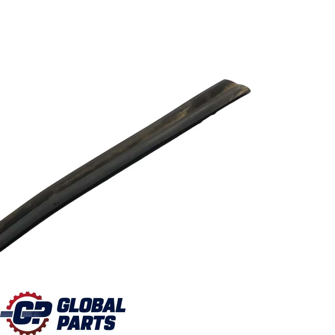 BMW X1 Series E84 Windscreen Windshield Window Moulding Seal Strip - SKU 7307896 - Part number 7307896