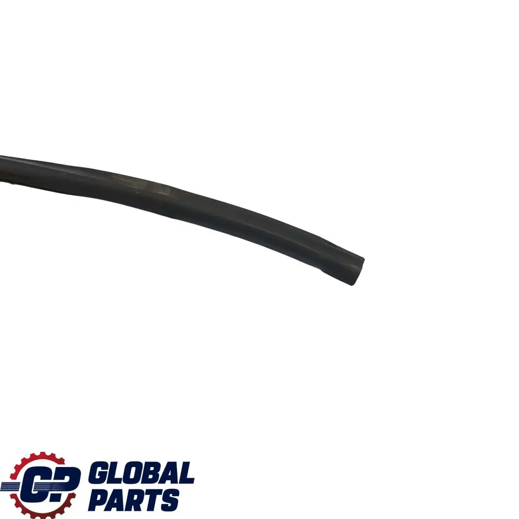 BMW X1 Series E84 Windscreen Windshield Window Moulding Seal Strip - SKU 7307896 - Part number 7307896