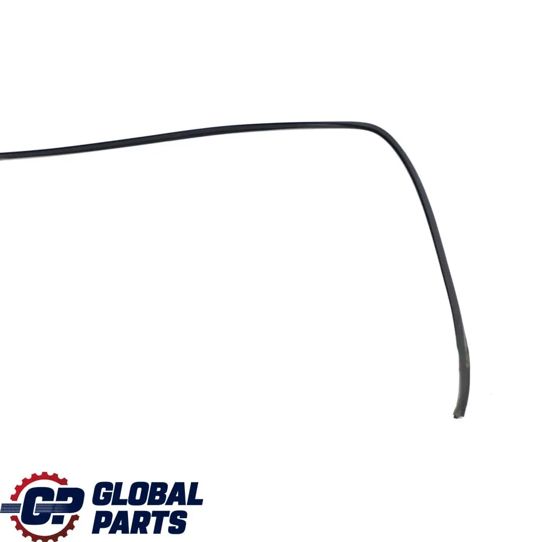 Windscreen Windshield Window Moulding Seal Strip to BMW X1 Series E84 with Part number 7307896 BMW X1 Series E84 Windscreen Windshield Window Moulding Seal Strip - SKU 7307896 - Part number 7307896