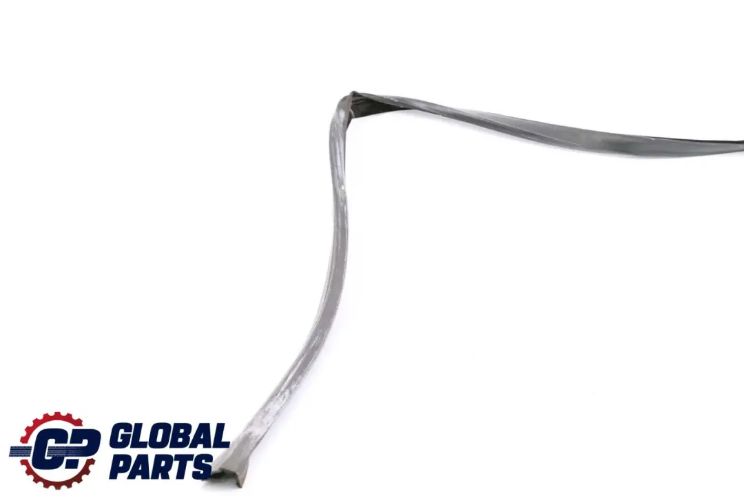 BMW X6 Series E71 Window Guide Seal Left Front Door N/S - SKU 7310315 - Part number 7310315