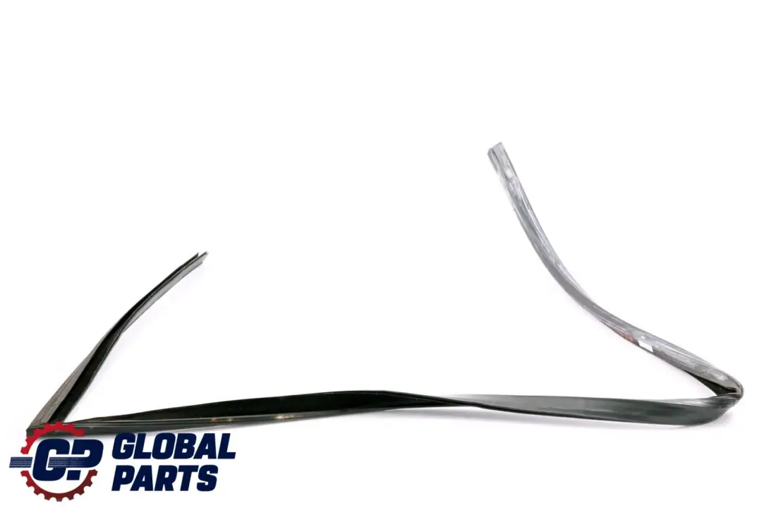 BMW X6 Series E71 Window Guide Seal Left Front Door N/S - SKU 7310315 - Part number 7310315