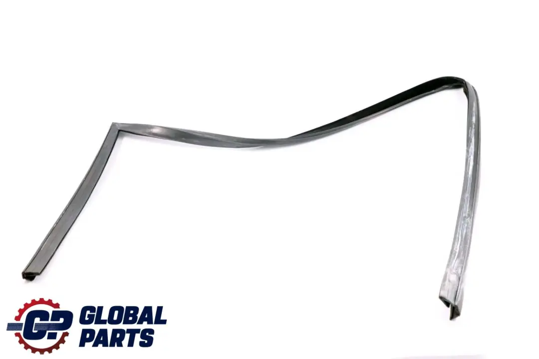 BMW X6 Series E71 Window Guide Seal Left Front Door N/S - SKU 7310315 - Part number 7310315