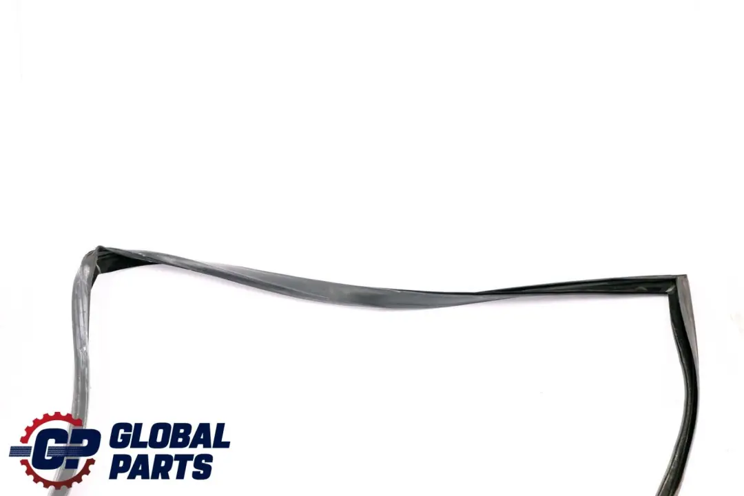 BMW X6 E71 Guarnizione Guida Finestrino Porta Anteriore Sinistra - SKU 7310315 - Numero di parte 7310315