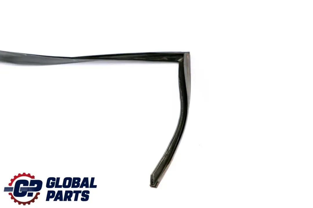 BMW X6 E71 Guarnizione Guida Finestrino Porta Anteriore Sinistra - SKU 7310315 - Numero di parte 7310315