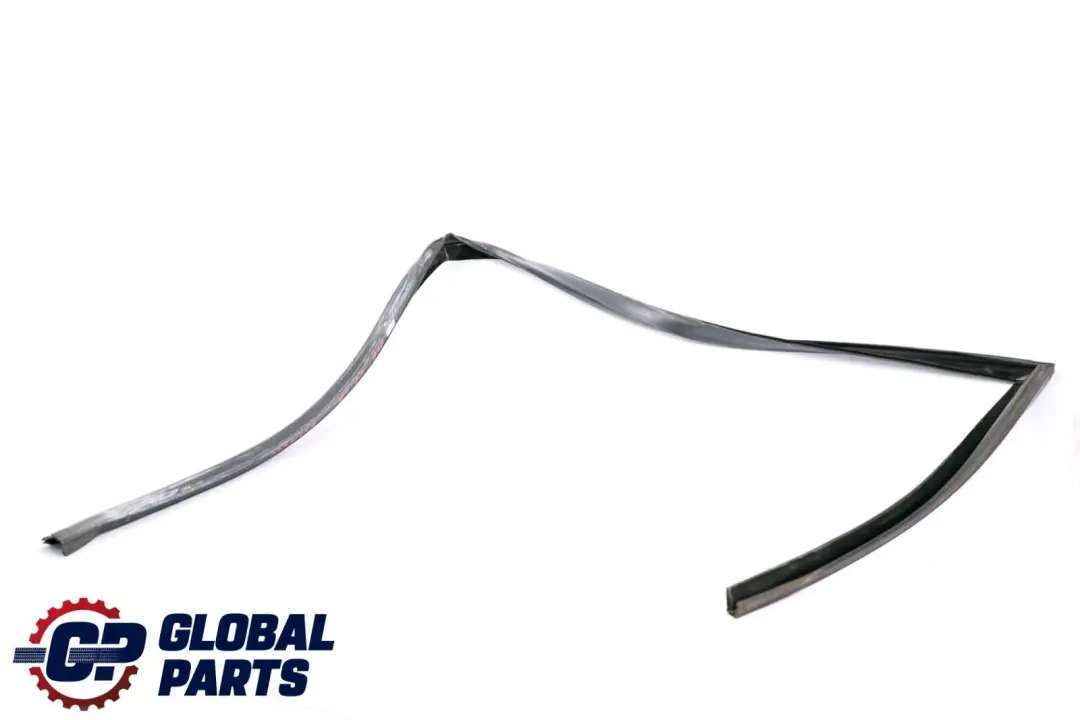 BMW X6 Series E71 Window Guide Seal Left Front Door N/S - SKU 7310315 - Part number 7310315